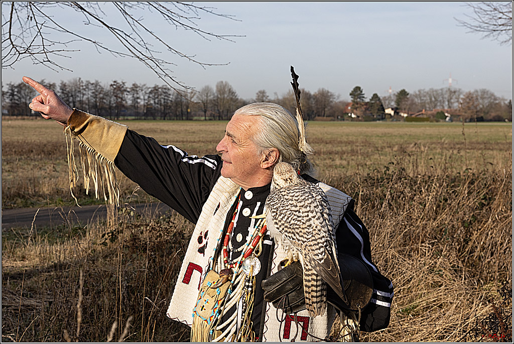 Cheyenne-Halbblut Hunting Wolf in der Falknerei Pierre Schmidt; Gymnich, 09.02.2023